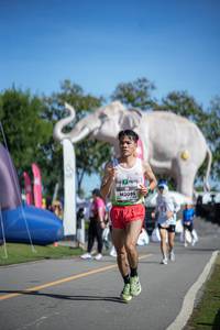 BIB: 
                            <button type="button" onclick="openModal(26542307)" class="btn btn-primary btn-sm float-right btn-popup" data-toggle="modal" data-target=".modal-high-quality">
                        <i class="fas fa-shopping-cart"></i> Add to Cart
                    </button>
                                            <button type="button" onclick="isThisMe(26542307, true)" class="btn btn-success btn-sm float-right btn-popup btn-isme hidden" data-toggle="tooltip" data-placement="bottom" title="นี่คือรูปของคุณใช่ไหม คลิกที่นี่เพื่อเอาเข้าอัลบั้ม">
                        <i class="fas fa-plus"></i> Add to album
                    </button>
                    <button type="button" onclick="isThisMe(26542307, false)" class="btn btn-warning btn-sm float-right btn-popup btn-isnotme hidden">
                        <i class="fas fa-ban"></i> Remove from album
                    </button>